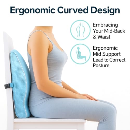 Image of Grin Health Back Support for Office Chair & Car, Memory Foam Orthopedic Back Rest Cushion for Back Pain Relief, Ideal Cushion for Spine Alignment and Posture Correction, Blue