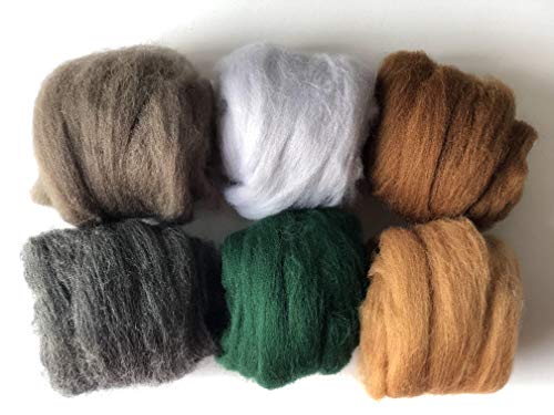 T.F GHG Needle Felting Wool Roving 6 Colors Set,10G/Color Total 60G/2.12OZ, 100% Natural Wool for Felting Yarn Craft Supplies, Needlecrafts for Starter Beginner (Season)