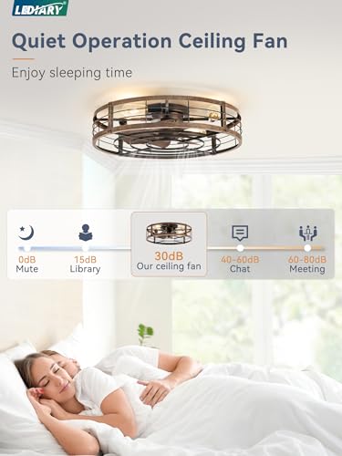 Image of LEDIARY 26 inch Caged Ceiling Fan with Light and Remote, Low Profile Flush Mount Fandelier, Black Gold Bladeless Enclosed Small Fan Lights Ceiling Fixtures, Rustic Farmhouse Style for Bedroom, Outdoor