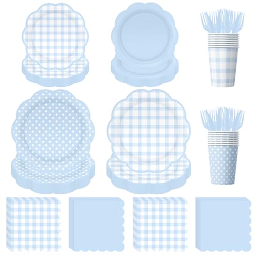 Blue Gingham Plates and Napkins Cups Forks Knife Serves 24