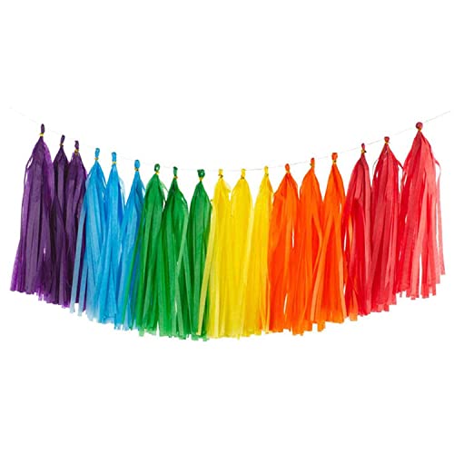 Ainmto 30 Stück Seidenpapier Quasten Girlande Bunt, Papier Quasten Banner für Party Dekorationen - (Rot/Orange/Gelb/Dunkelgrün/Himmelblau/Violett) Cover