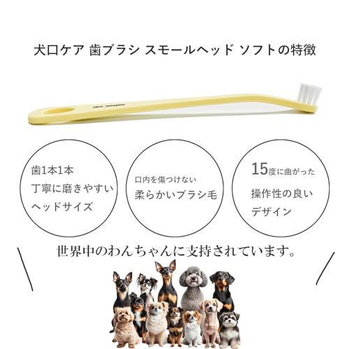Image of MIND UP Dog Mouth Care Toothbrush Kit (B(Small Soft Head))