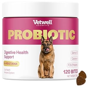 Vetwell Probiotics for Dogs – 120 Chews, Digestive Care with Dog Probiotics Enterococcus Faecium, Colostrum from Bovine, Prebiotic Chicory Inulin, Liver Flavour Dog Probiotic Supplements