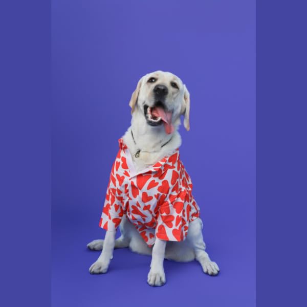 Image of Ezra Polyester Blend Dog Shirt - Heart Abstract, Small | Lightweight & Breathable Outfit for Dogs | Stylish & Comfortable Pet Clothing and Outings