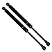 Maxpow Rear Trunk Lift Support Struts Shocks Gas Springs Prop Compatible With Z4 E85 2003-2008 (Convertible Only) 6259 51247016186