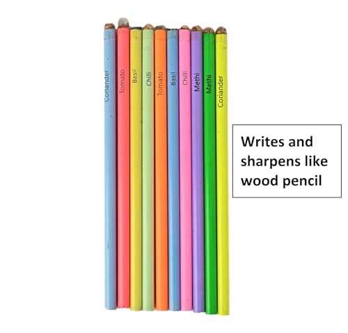 Eco Friendly Plantable Seed Pencils | Best For Distributing In School On Birthday | Return Gift (1 Neon Pencil In Box, 15, Count), Ink Color-Black