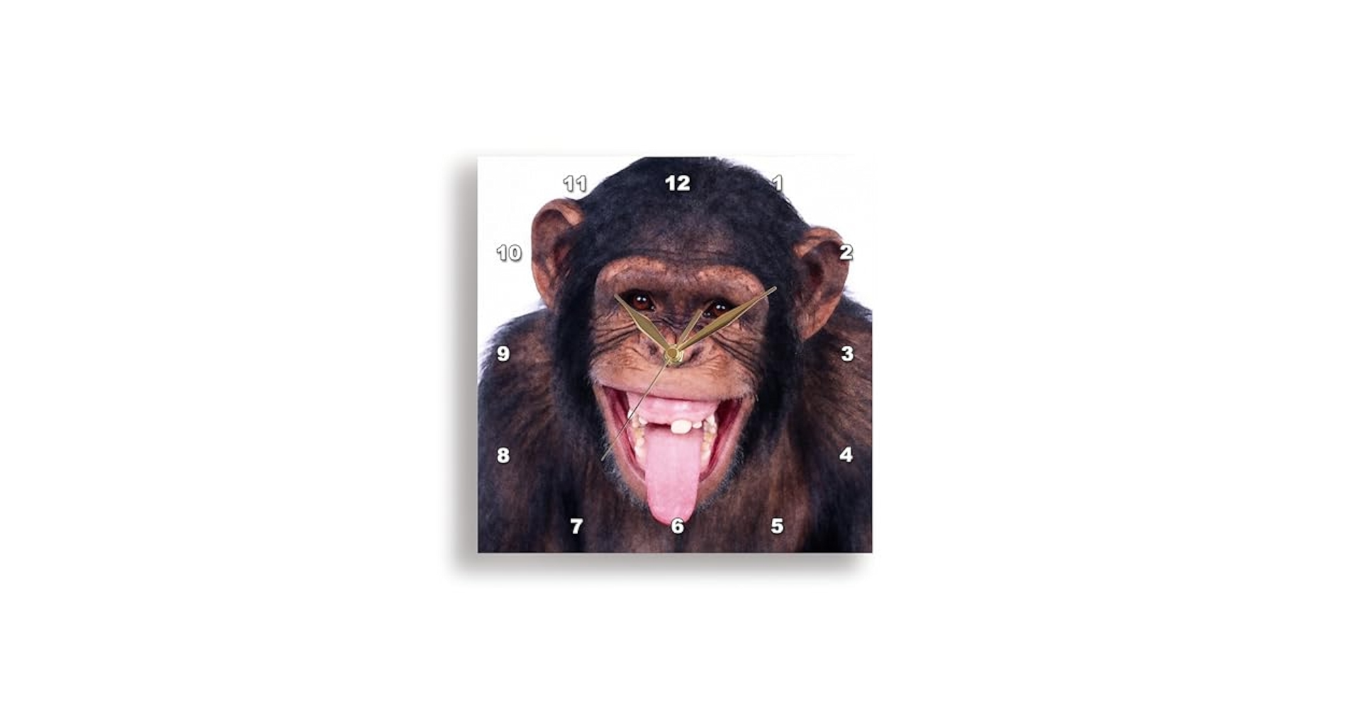 Amazon.co.jp: 3dRose dpp_23449_1 笑う猿 壁掛け時計 10×10