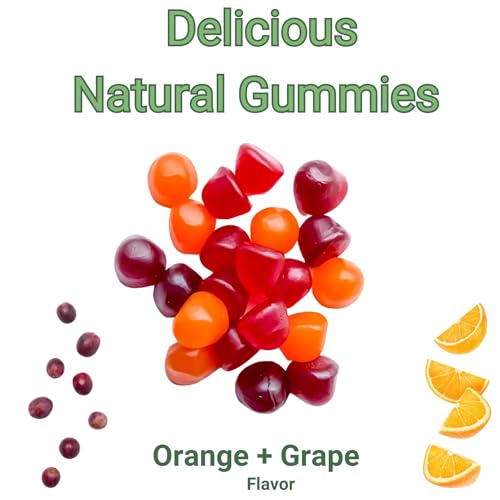 Image of Yuve Prenatal Gummies for Women - Folic Acid 667 mcg DFE - Pregnancy Vitamins Gummies - Hormonal Support & Folate Acid - Vegan & Natural - 60 ct