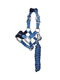 LeMieux Mini Vogue Halter & Leadrope - Perfect for Ponies - Adjustable at Curb and Poll - Benetton Blue - Super Mini