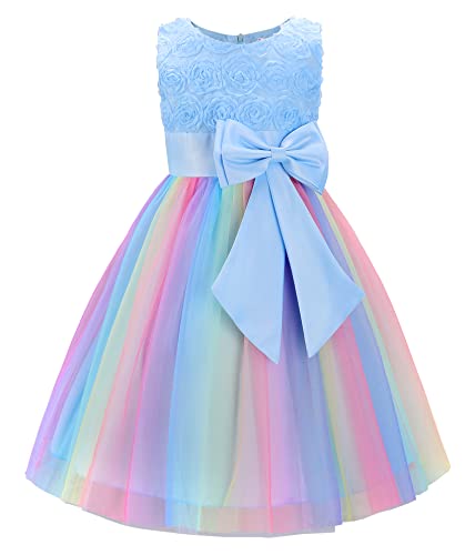 JerrisApparel Princesa Flor Vestido Niña Fiesta Boda Ceremonia Sin Mangas Vestido (3 años, Azul)