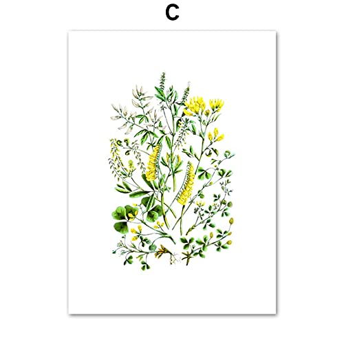Affiches et impressions chèvrefeuille trèfle fleur de colza abstrait - 3
