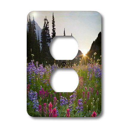 Plaque de finition cache de prise 2 prises 3dRose LSP_95663_6 multicolore - 4