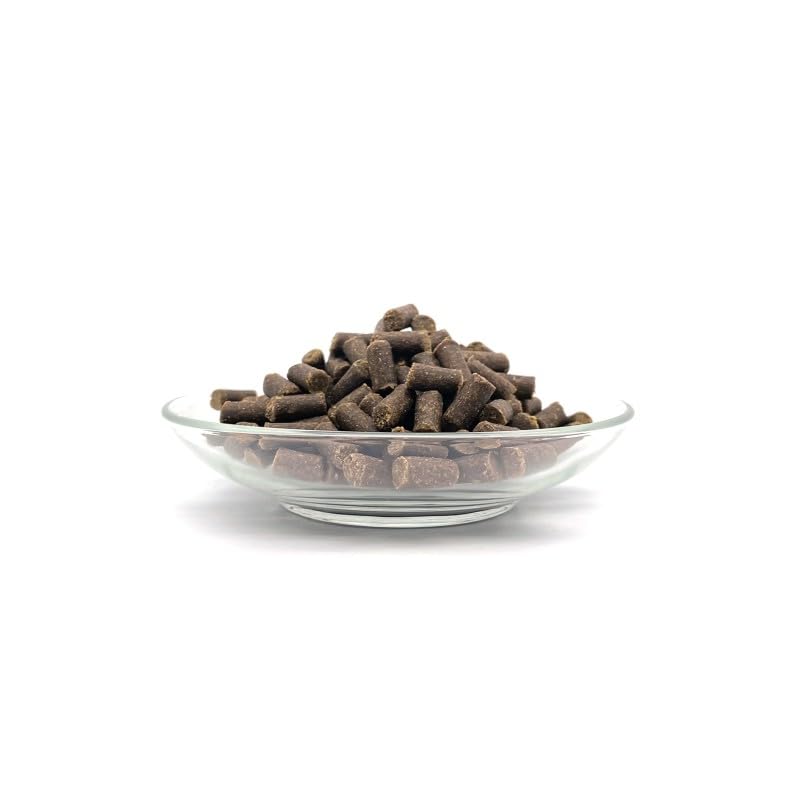 I Love My cat Set – Insekten-Paté mit Kürbis-Topping (12 x 150 g) + Insekten-Snack (50 g) | Hypoallergenes Nassfutter & Snacks für ernährungssensible Katzen | Getreidefrei & natürlich