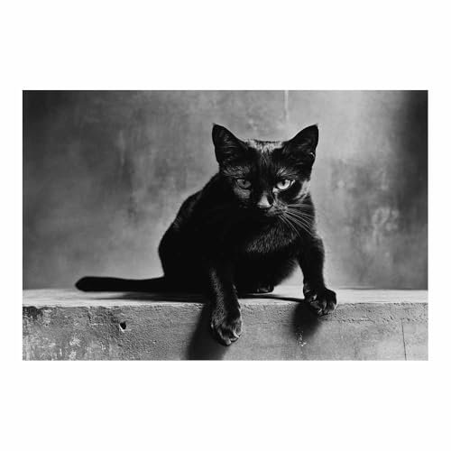 Toile murale vintage chat noir 50x70cm sans cadre décoration salon DunPei