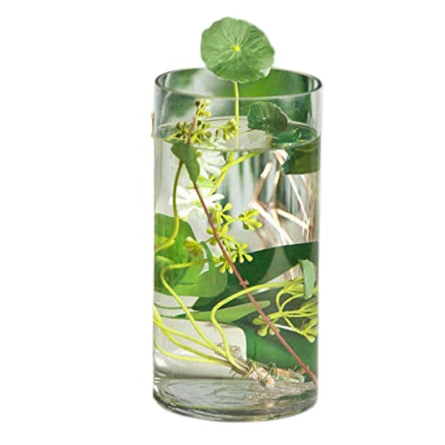 Image of Home Decoration Glass Clear Cylinder Vase Floral Wide Cylinder Glass Vase for Weddings, Events, Decorating, Arrangements, Flowers, Office, or Home Decor (10 Inch, 3)