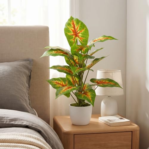 Image of Dekorly Artificial Caladium Plant Tree with White Pot 26 Inches | 66cm - Realistic Faux Leaf Plant for Home Decor, Bedroom, Living Room & Office