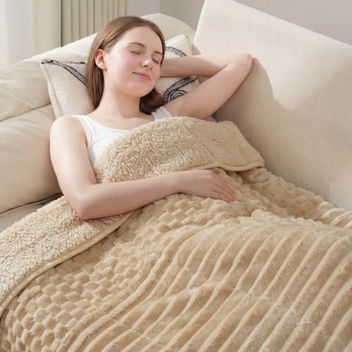 Image of Drewin Queen Size 15lbs Weighted Blanket for Adults, Soft Cozy Turtleback Sherpa Weighted Blankets for Sleeping and Calming, Thick Bed Blanket for Couch Bed, 48 x 72 inches, Light Khaki