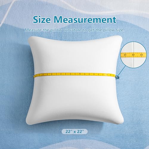 AM-AEROMAX-22-22-Throw-Pillow-Memory-Foam-Pillow-Insert-Square-Accent-Pillow-for-Decorative-Cushion-Bed-Couch-Sofa-Non-Deforming-Over-Time AM AEROMAX 22 22 Throw Pillow Memory Foam Pillow Insert Square Accent Pillow for Decorative Cushion Bed Couch Sofa Non Deforming Over Time