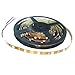 OPTIMA 5 Meter 16.4Ft. Cool White 150 LED Strip