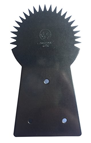 Ni_Orn Coconut Grater Scraper With Screw Thai Teeth Tool Stainless Steel Grater Kitchen New #TOP3