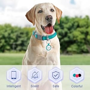   Dog-Tags-Personalized-for-petsQR-Code-Smart-Pet-ID-Tagfor-Small-Medium-Large-DogsAnti-LostCustomWaterproof-Silicone-Dog-Cat-TagInstant-Location-AlertsEasy-Online-Profile-UpdatesBlue