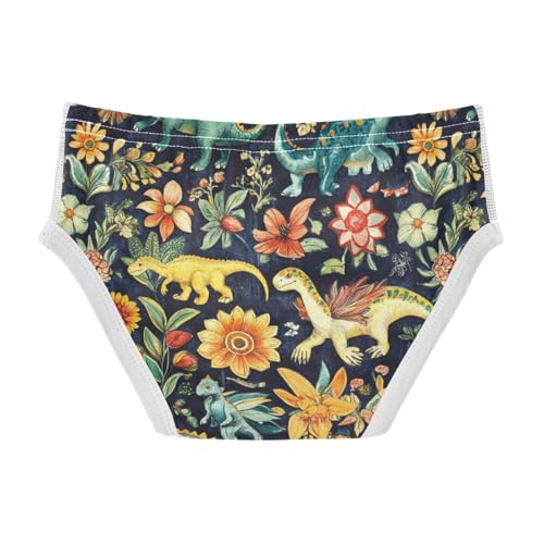 Wusikd Colorful Dinosaurs Boys' Underwear Cotton Flowers Boys Briefs Soft Toddler Underwear 2T2