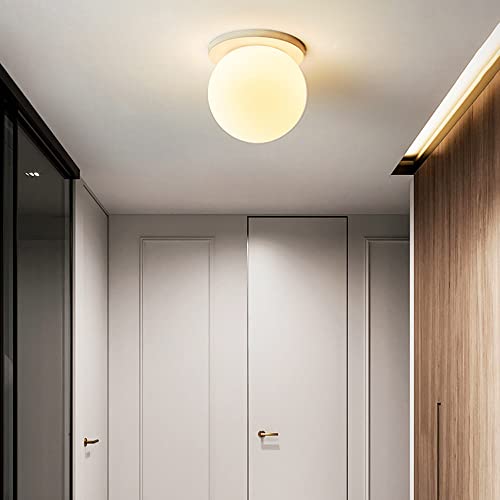 Lámpara de techo moderna de cristal G9 con diseño de globo blanco para pasillo y dormitorio 3