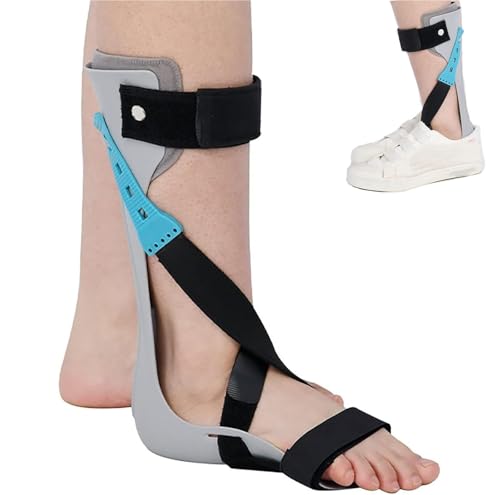 ×p񑫑Aꑕu[XAyʑT|[gX^rCU[Au[XT|[gAC𗚂ĕۂ̒ɂ݂ʓIɊɘa܂B(Left,Large)