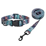Dog Collar and Leash Set Nylon Collar with Matching Leash Tribal Geometric for Small Medium Large Bo