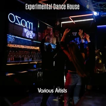 Experimental Dance House