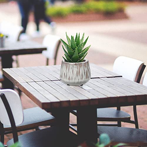 White Ceramic Planters For Indoor Plants 5.3 Inches Pots For Plants Succulent Planters Set Small Flower Pots For Snake Plants, Cactus, Orchid Set Of 2 Plant Containers Garden Pots #TOP4