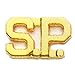 SPECIAL POLICE Officer Security Guard Collar Pins Insignia Brass 1/2" Letters GOLD (Pair !)