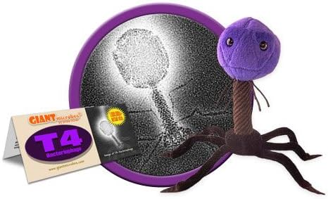 amazon giant microbes