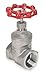 Gate Valve, Class 200, 3/4 In, 316 SS