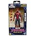 Marvel Legends Series Spider-Man, Spider-Man Day Collectible 6-Inch Action Figure Set