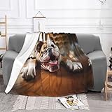 Zoom IMG-1 divertente coperta in peluche con Zoom IMG-1 divertente coperta in peluche con