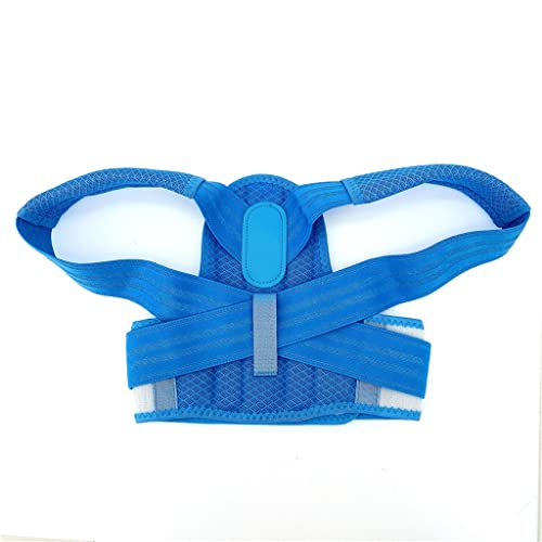 Ceinture de soutien lombaire pour le bureau et la marche active au quotidien