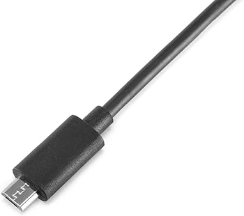 DJI Micro HDMIケーブル フラットケーブル DJI RS Mini-HDMI to Micro-HDMI Cable (20 cm): Amazon.co.uk