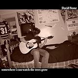 David Stone