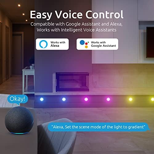 10-Pack RGBP WiFi Led Decking Lights,Ø30MM + WiFi Voice Control with Tuya APP,DIY Color Settings,IP67waterproof,12V Dreamcolor Chasing Decking Lights Work with Alexa and Google Assistant
