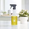 Mrs. MEYER'S Clean Day All-Purpose Cleaner Spray 16 Fl Oz (Daisy)