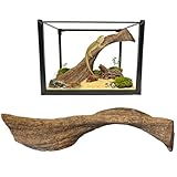 Tfwadmx Reptile Branches, Natural Reptile Corner Climbing Branch, Snake Climbing Branch Chameleon Cage Accessories Terrarium Plant Decoration for Bearded Dragon Gecko Snake(13 Inch)