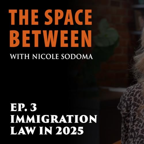 Immigration Law in 2025 cover art