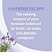 Citrus Magic Odor Absorbing Solid Air Freshener, Lavender Escape, 8 Ounce (Pack of 3)