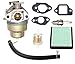 SAKITAM Carburetor Carb fit for Husqvarna 8280117 HU800AWD HU800AWDH HU800AWDX/BBC Walk-Behind Lawn Mower Model 961450011 961450021 961450029 with Honda Engine