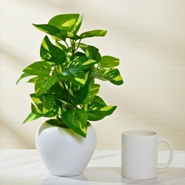 Image of fancymart Artificial Plant Leaves in Apple Pot (30 cm Height) | Small Potted Plant for Office Desk | Home Decor for Living Room | Cafe & Restaurant Table Decoration