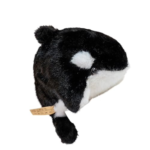 XC[gV[ʂ݃\tgl`q̂߂̂Ȃ߂Szy̐Ԃ̏̕aMtgʂ