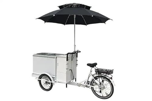 Cozytrikes High Performance Electric Ice Cream Vending Tricycle Cart 3