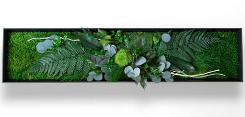 Générique Tableau Végétal Australia Stabilisé XL 100 x 33 cm – Décoration Murale Naturelle | Plantes Stabilisées Sans Entretien | Fabriqué en France