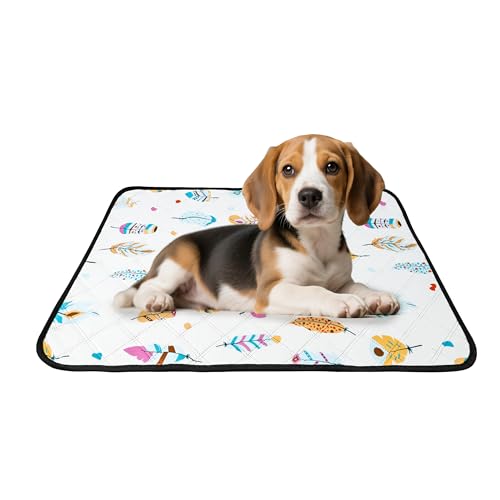 水洗い可能な犬用おしっこシート 45×60cm 2枚入り